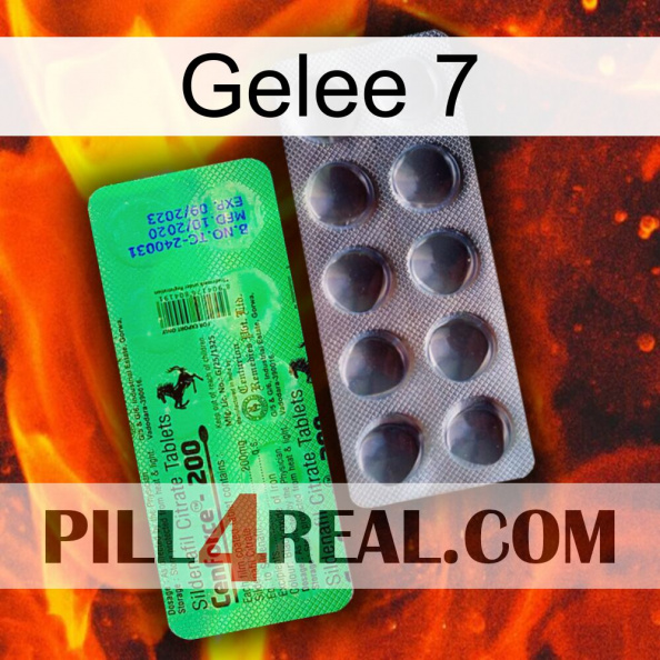 Jelly 7 new04